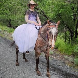 Meet your Posher, Lemina_togs